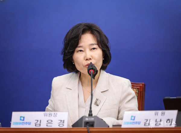 더불어민주당 김은경 혁신위원장