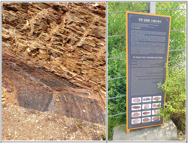 층위단면(왼쪽)과 화석산지 안내판